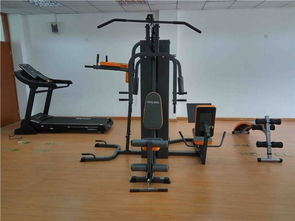 從家庭到單位 全面解析各類健身器材的選擇與應(yīng)用